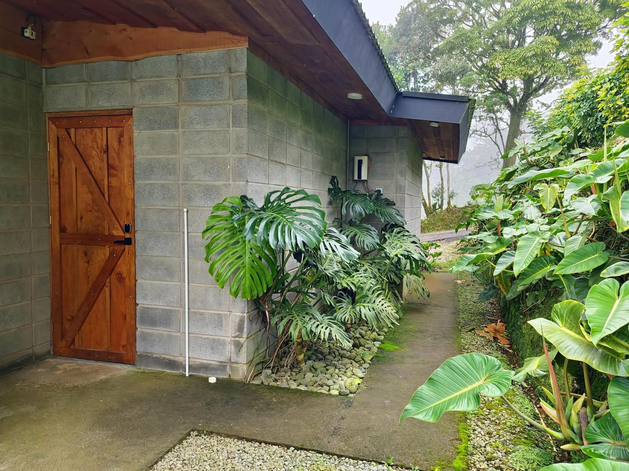 Espectacular Cabana Moderna De Montana + Bosque Nuboso +Wifi Zarcero Exterior foto